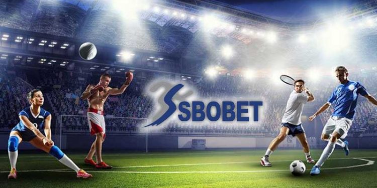 Judi Bola Terpercaya: Memilih Situs yang Aman dan Menguntungkan